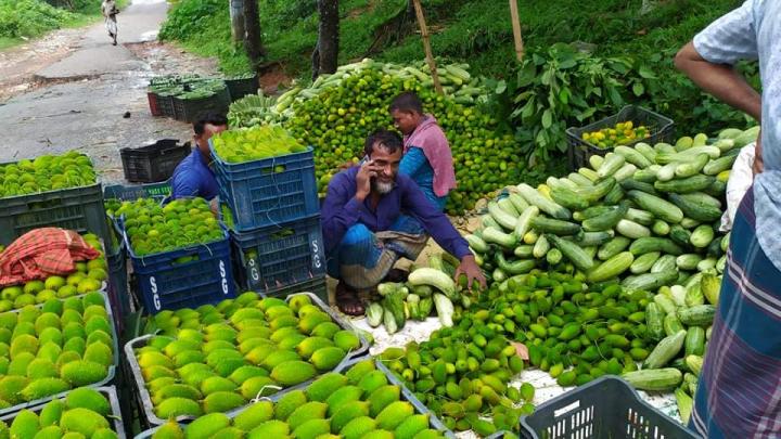 শিবপুরে উৎপাদিত সবজির ন্যায্যমূল্য না পেয়ে হতাশ চাষিরা