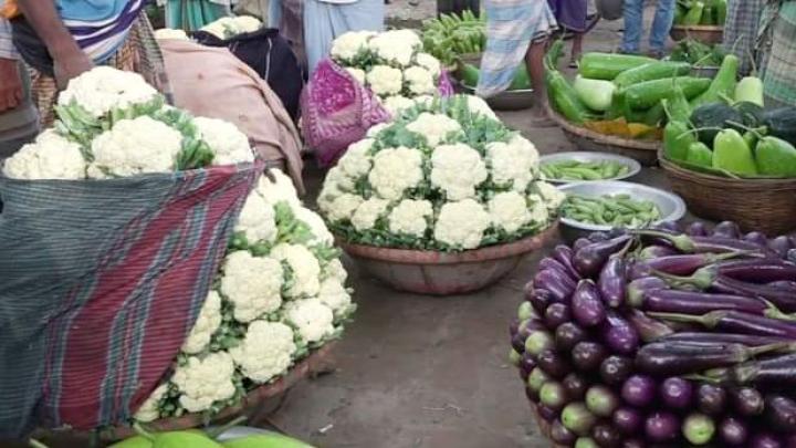 নরসিংদীতে শীতকালীন সবজির সরবরাহ স্বাভাবিক, কমেছে দাম