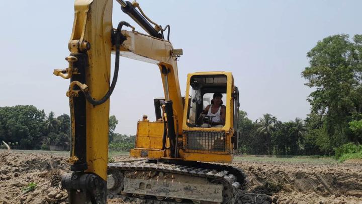 পলাশে রাতের আঁধারে লিচু বাগানের অর্ধশত গাছ কর্তন