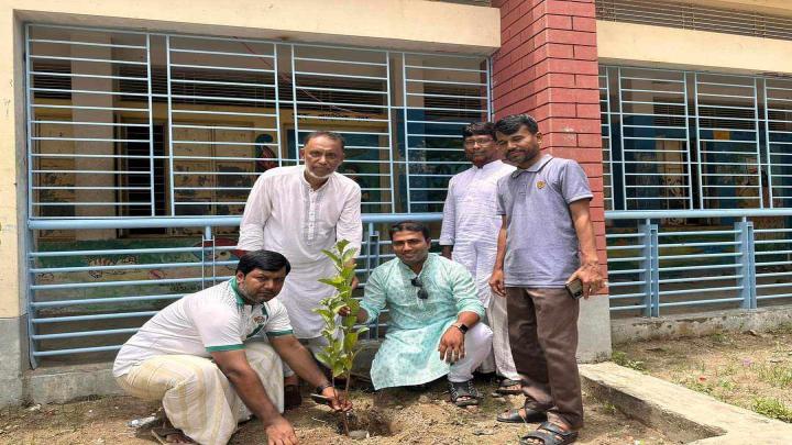 নরসিংদীর আলোকবালীতে বৃক্ষরোপণ কর্মসূচি পালন: