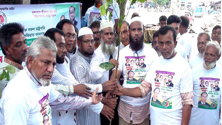 পলাশে ২০ হাজার গাছের চারা রোপণের উদ্যোগ জাতীয় পার্টির