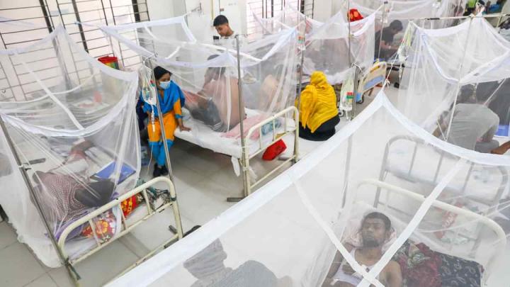 নরসিংদীতে বাড়ছে ডেঙ্গু রোগীর সংখ্যা