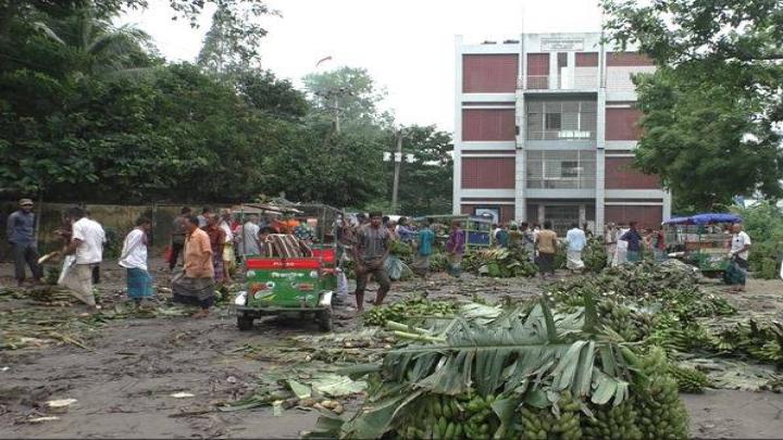 পাঁচশ বছরের ঐতিহ্য হারাতে বসেছে বেলাব কলার হাট