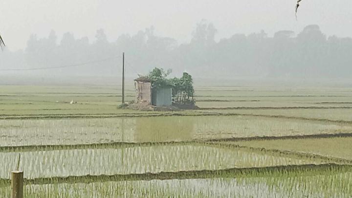 শিবপুরে সরকারি নীতিমালা অমান্য করে নলকূপ স্থাপন