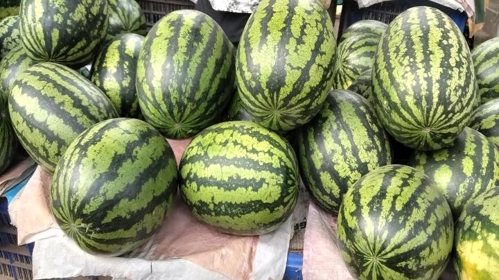 নরসিংদীতে তরমুজের স্বাদ গ্রহণ থেকে বঞ্চিত নিম্নআয়ের রোজাদাররা